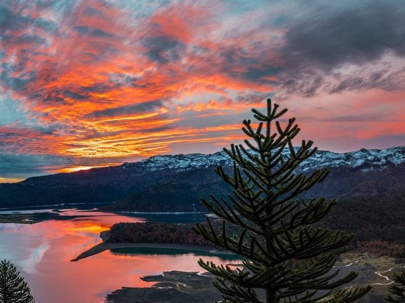Trekking Parque Nacional Conguillío desde Santiago - Foto de galería 1