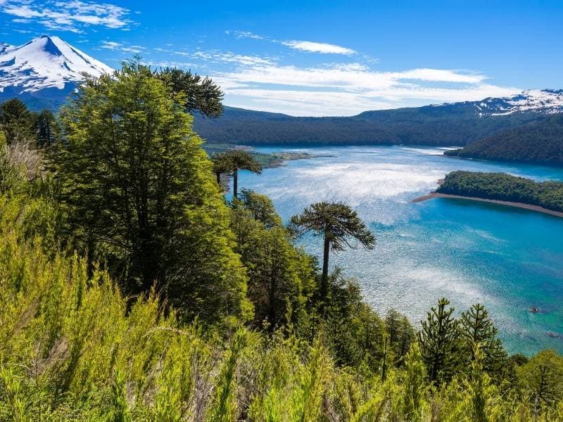 Trekking Parque Nacional Conguillío desde Santiago - Foto de galería 6