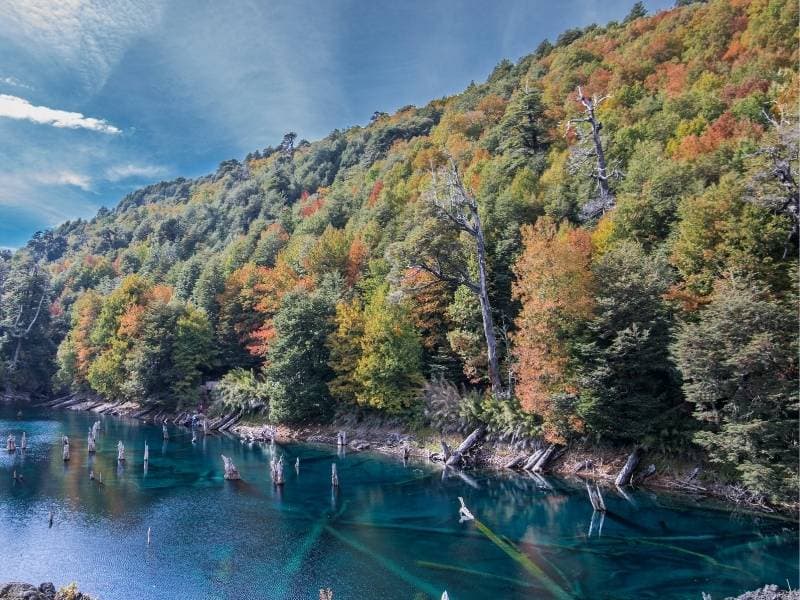 Trekking Parque Nacional Conguillío desde Santiago - Foto de galería 8