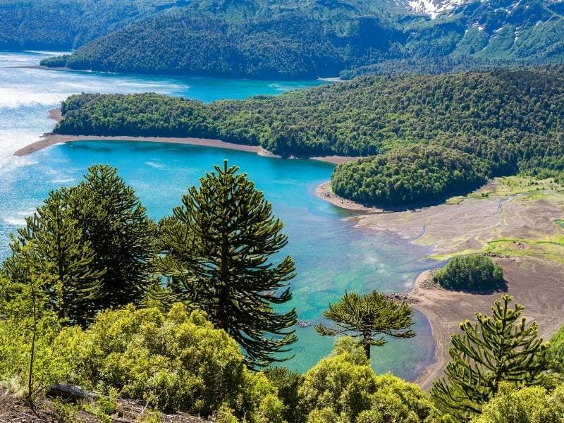 Trekking Parque Nacional Conguillío desde Santiago - Foto de galería 7