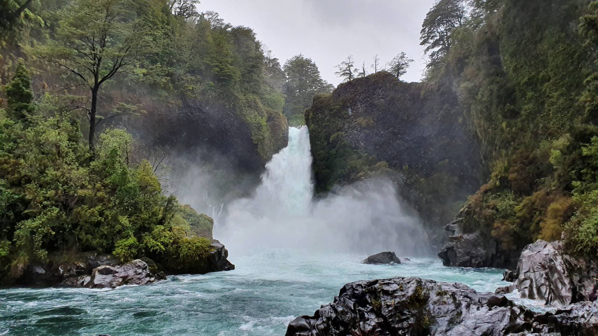 Tour Reserva Biológica Huilo Huilo desde Santiago