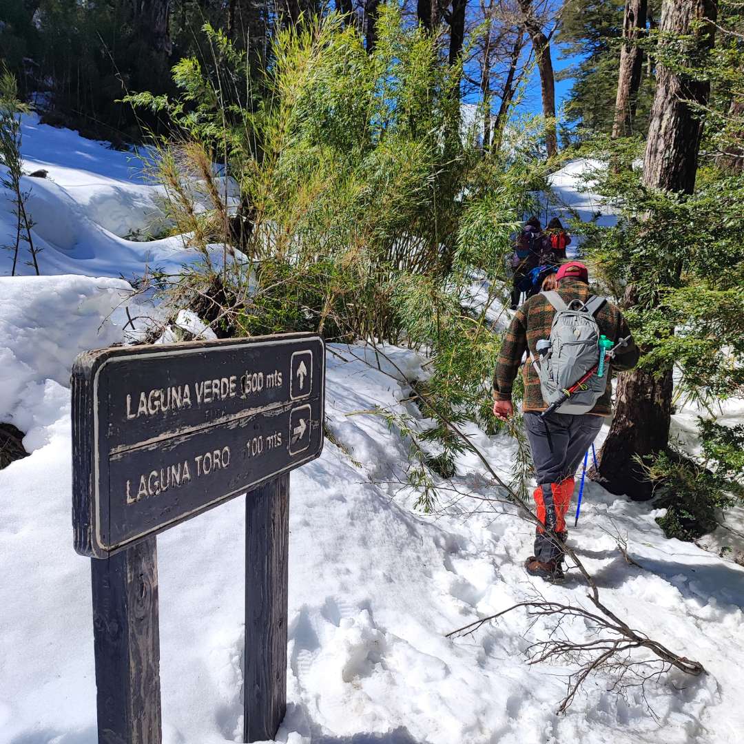 Trekking Parque Nacional Huerquehue desde Santiago – Sendero Los Lagos - Foto de galería 3