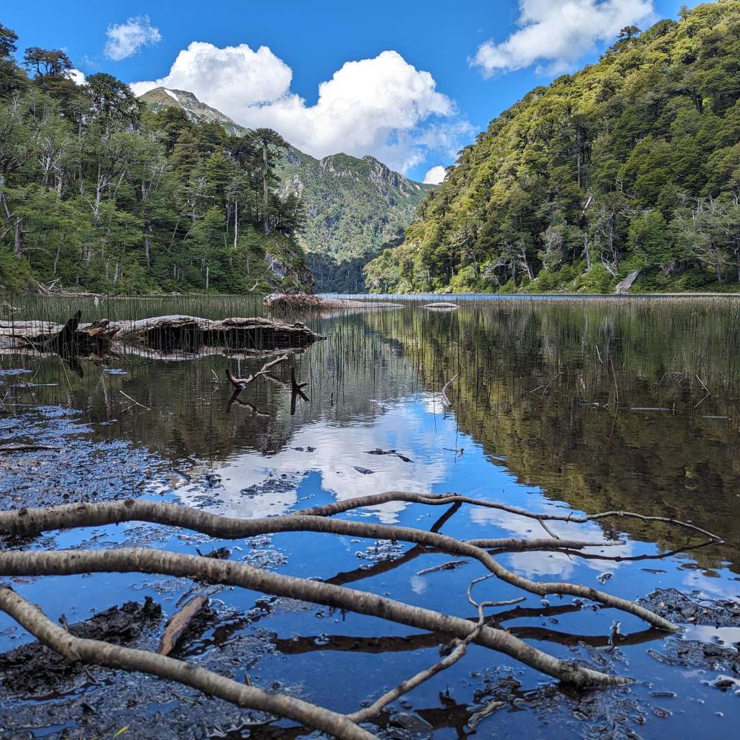 Trekking Parque Nacional Huerquehue desde Santiago – Sendero Los Lagos - Foto de galería 4