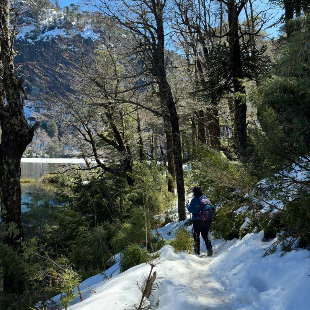 Trekking Parque Nacional Huerquehue desde Santiago – Sendero Los Lagos - Foto de galería 9