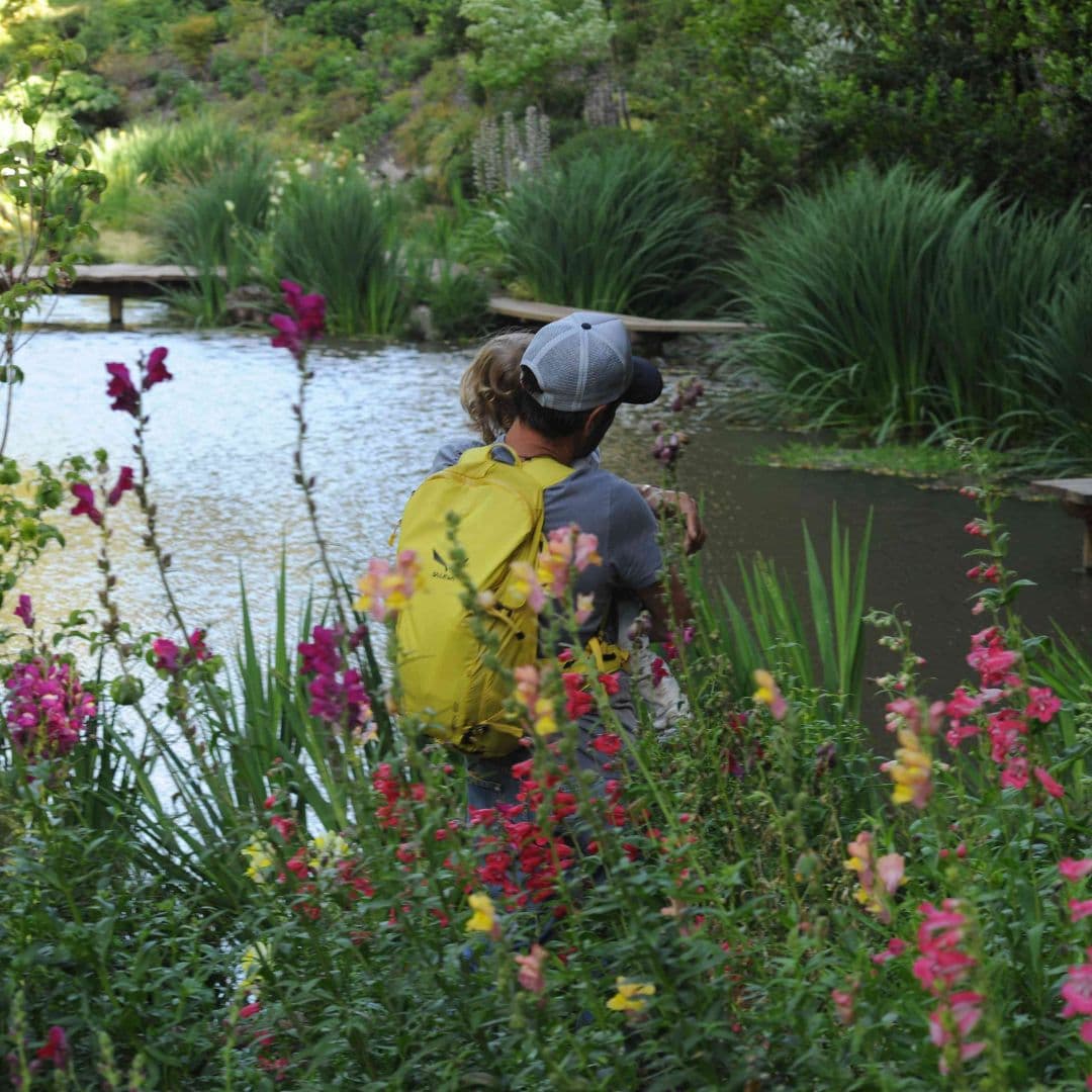Tour Parque Tricao + Aviario desde Santiago – Naturaleza y Humedal - Foto de galería 3