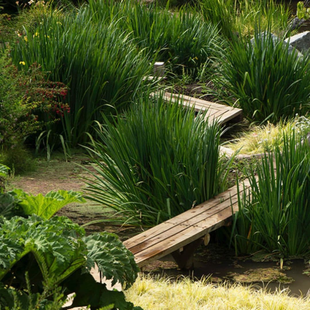 Tour Parque Tricao + Aviario desde Santiago – Naturaleza y Humedal - Foto de galería 2