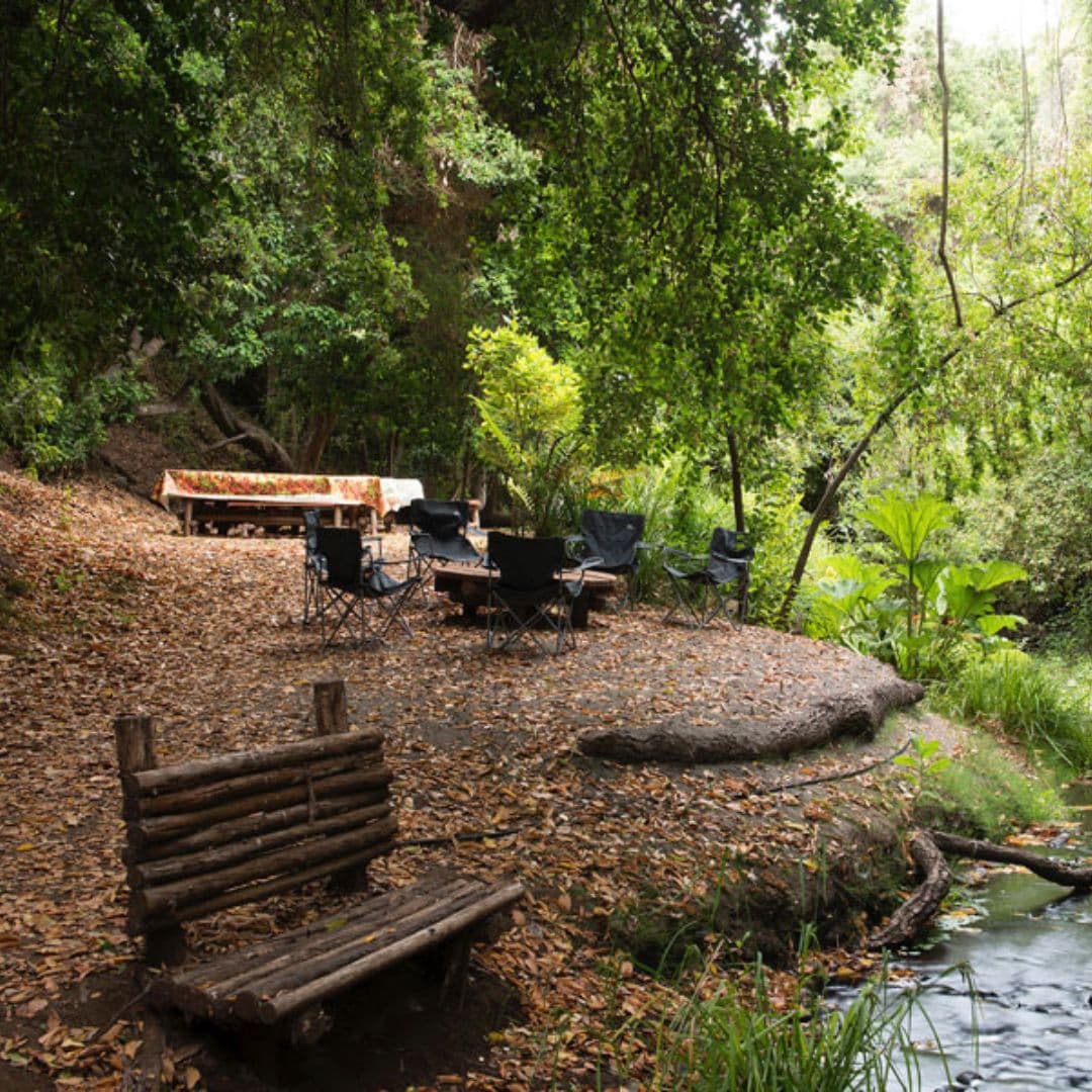 Tour Parque Tricao + Aviario desde Santiago – Naturaleza y Humedal - Foto de galería 4