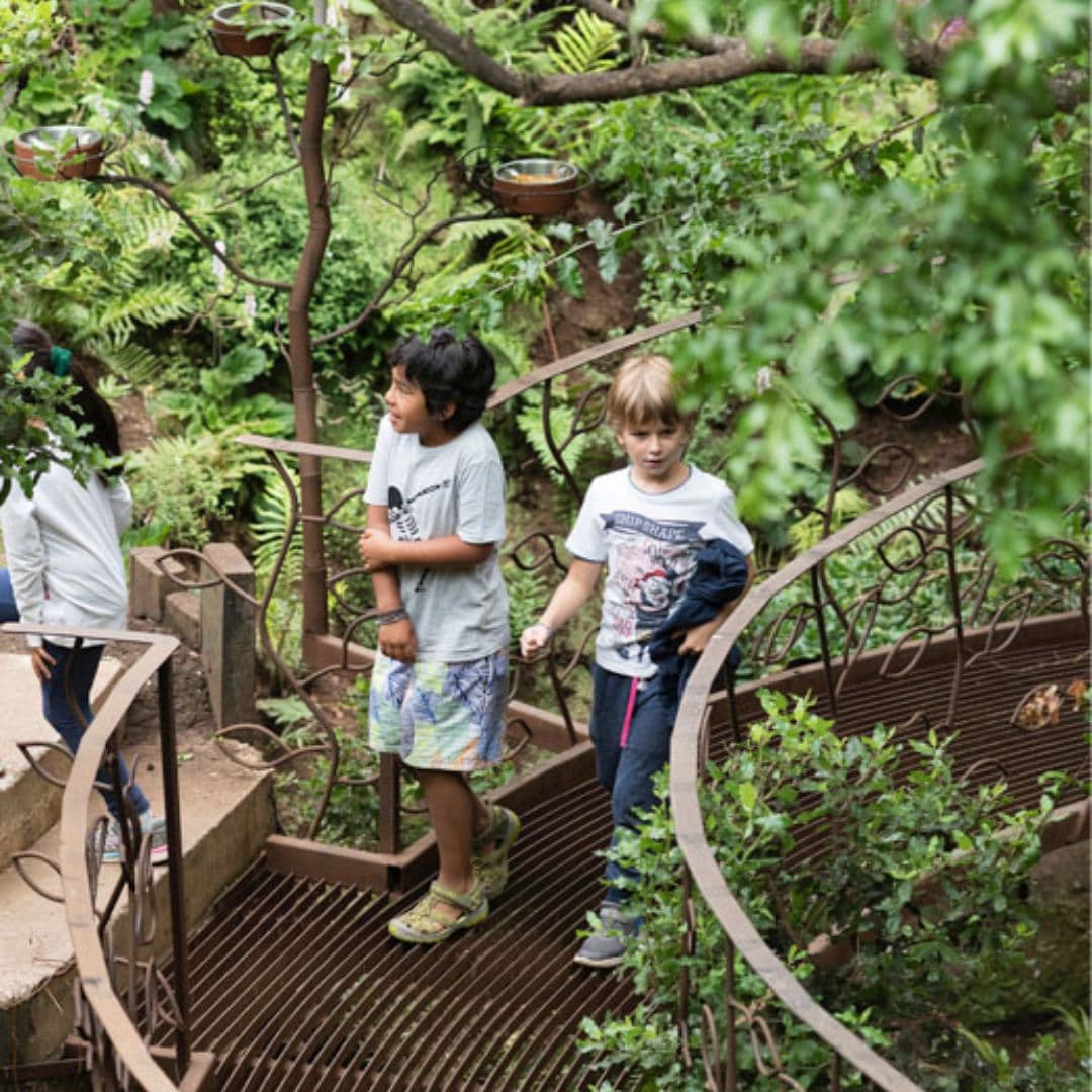 Tour Parque Tricao + Aviario desde Santiago – Naturaleza y Humedal - Foto de galería 8
