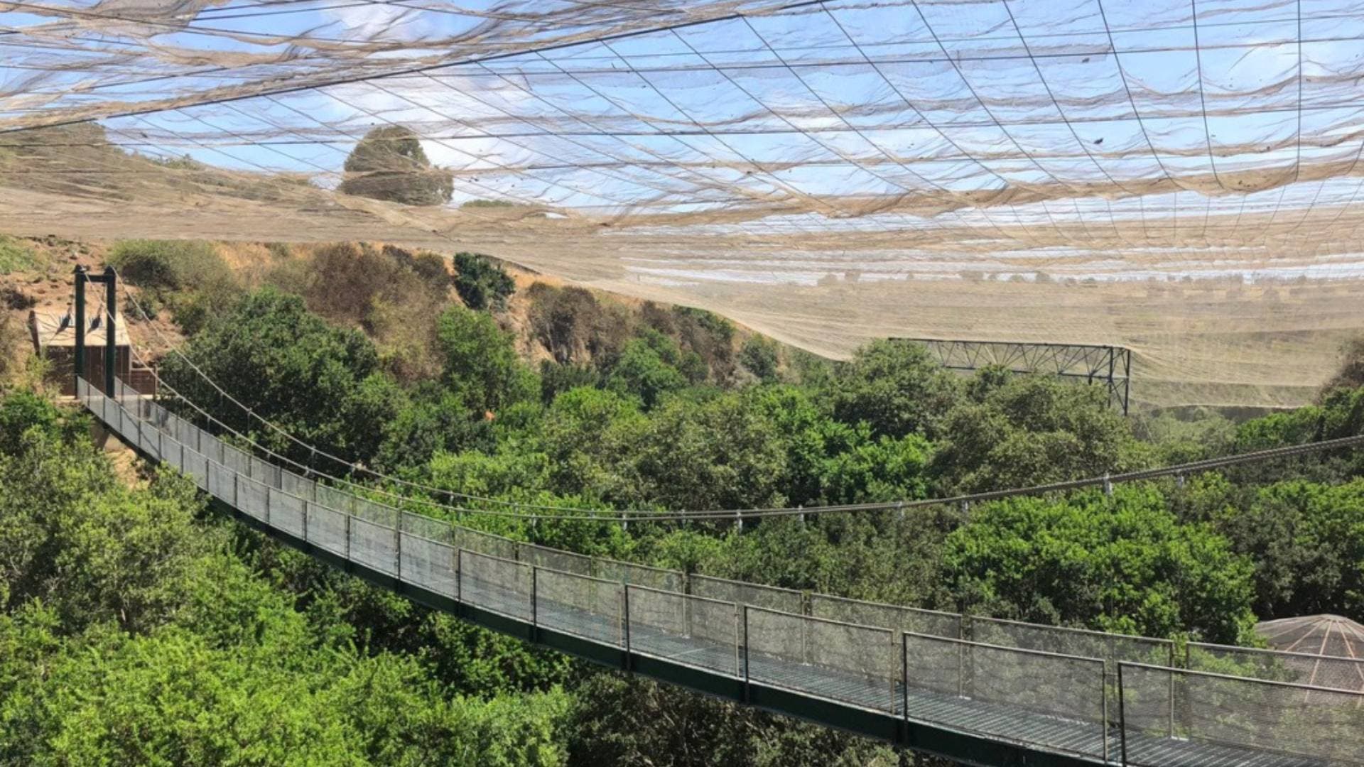 Tour Parque Tricao + Aviario desde Santiago – Naturaleza y Humedal