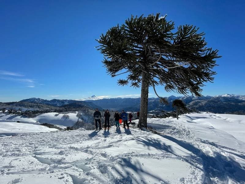 Trekking Volcán Sollipulli desde Santiago - Foto de galería 2