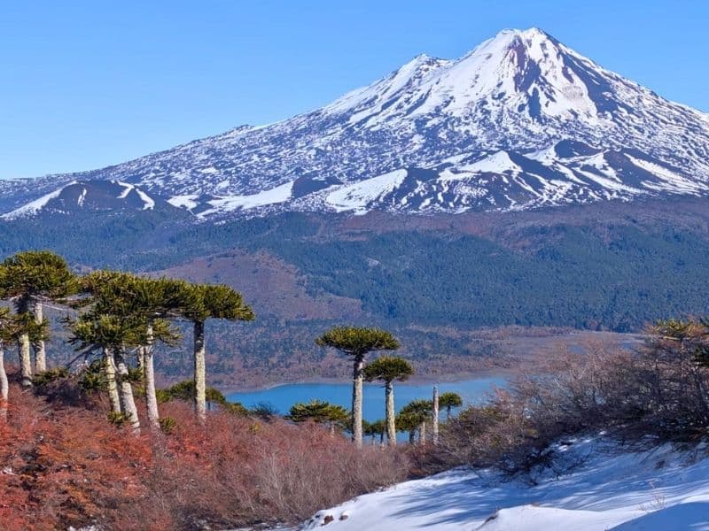 Trekking Sierra Nevada Conguillío desde Santiago 3 días - Foto de galería 1