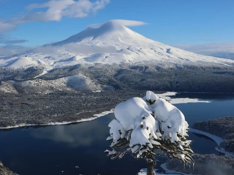 Parque Conguillío Invernal desde Santiago - Foto de galería 2
