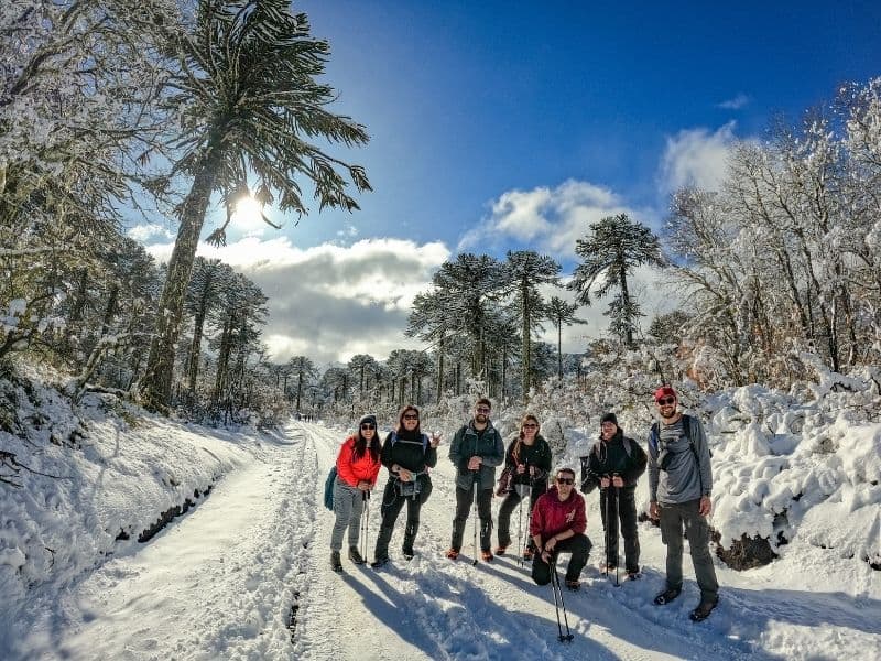 Parque Conguillío Invernal desde Santiago - Foto de galería 4