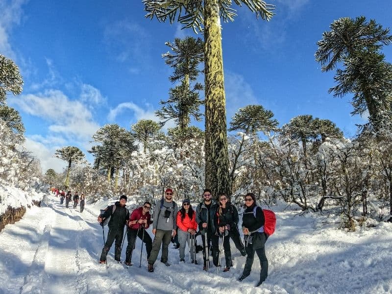 Parque Conguillío Invernal desde Santiago - Foto de galería 6