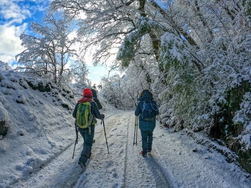 Parque Conguillío Invernal desde Santiago - Foto de galería 8