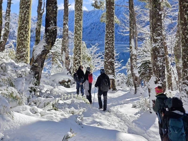 Parque Nacional Huerquehue desde Santiago – Sendero Los Lagos - Foto de galería 6