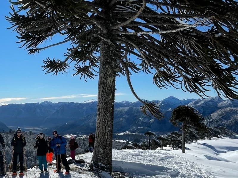 Volcán Sollipulli desde Santiago - Foto de galería 2
