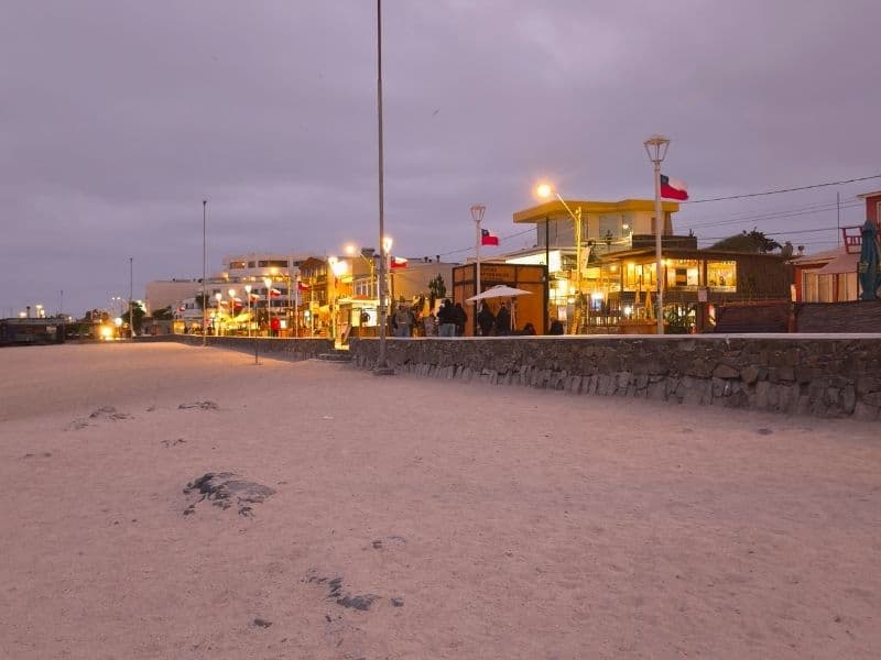 Tour Desierto Florido y Bahía Inglesa - Foto de galería 2