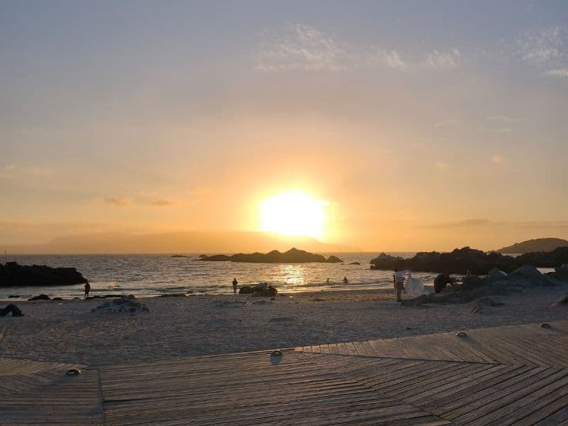 Tour Desierto Florido y Bahía Inglesa - Foto de galería 1
