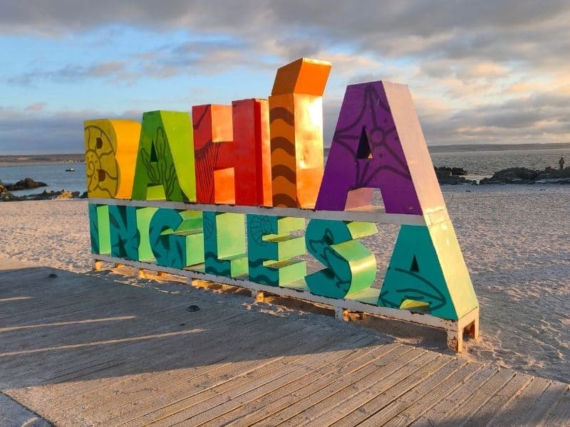Tour Desierto Florido y Bahía Inglesa - Foto de galería 3