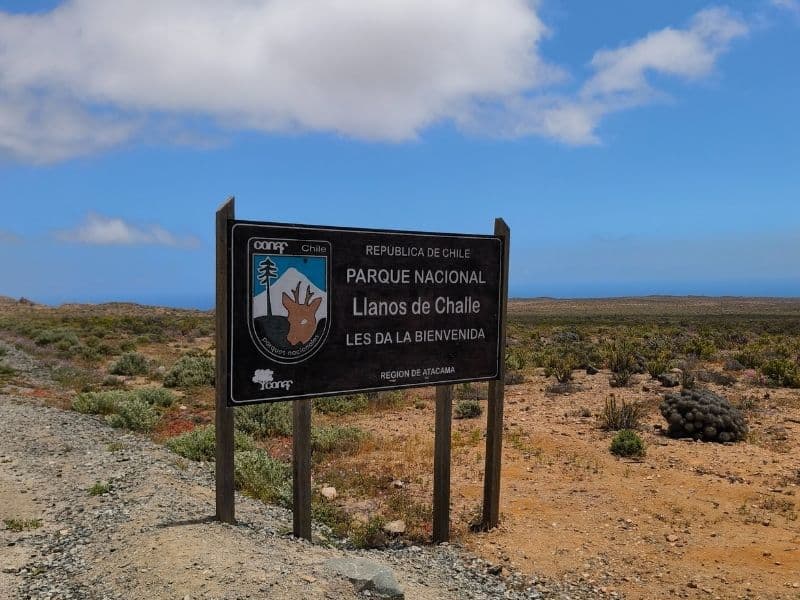Tour Desierto Florido y Bahía Inglesa - Foto de galería 9