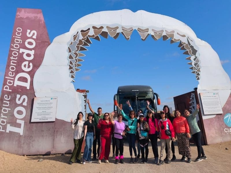 Tour Desierto Florido y Bahía Inglesa - Foto de galería 8
