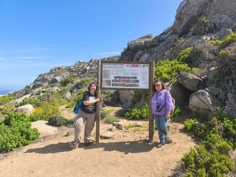 Tour Desierto Florido y Bahía Inglesa - Foto de galería 7