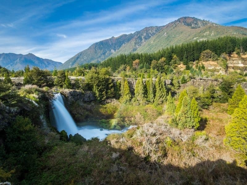 Parque Conguillío desde Santiago - Foto de galería 6